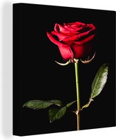 Canvas Schilderij Een rode roos op een zwarte achtergrond - 20x20 cm - Wanddecoratie