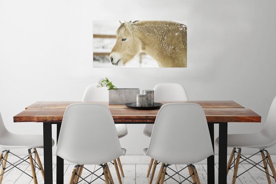 Poster Gros plan d'un cheval du fjord dans la neige - 80x40 cm