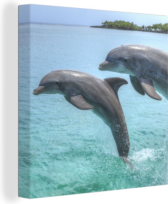 Canvas Schilderij Dolfijnen voor de Baai-eilanden - 50x50 cm - Wanddecoratie