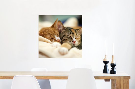 Poster Chats - Dormir - Tapis - 50x50 cm
