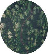 Droneshot van een bos - Foto op Dibond - ⌀ 80 cm