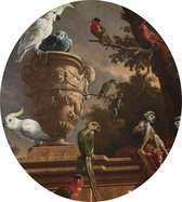 De menagerie, Melchior de Hondecoeter - Foto op Dibond - ⌀ 80 cm