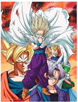 DRAGON BALL - GLASS PRINT - Heroes Vs Cell - 30X40 Cm