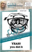 COOSA Crafts • Clear stempel #18 Smart owl