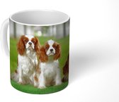 Mok - Vier Cavalier King Charles-spaniëls op een rij - 350 ML - Beker