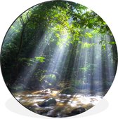 WallCircle - Wandcirkel - Muurcirkel - Zonnestralen dringen door de bomen het regenwoud in Maleisië binnen - Aluminium - Dibond - ⌀ 60 cm - Binnen en Buiten