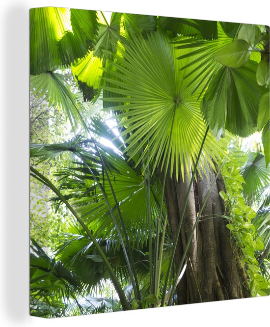 Canvas Schilderij Tropisch regenwoud - 90x90 cm - Wanddecoratie