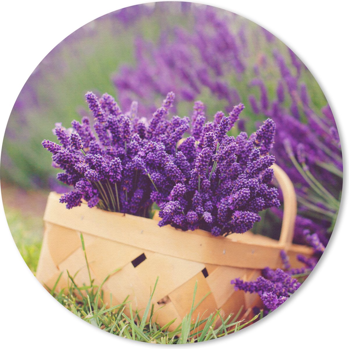 Muismat rond 20x20 cm - Mousepad Verse lavendel in een mand - Ronde muismatten