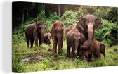 Canvas Schilderij Wilde olifanten - 40x20 cm - Wanddecoratie