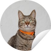 Garden Circle Chat - Collier - Oranje - Filles - Enfants - Garçons - Kids - 120x120 cm - Affiche de Jardin Ronde - Extérieur - XXL