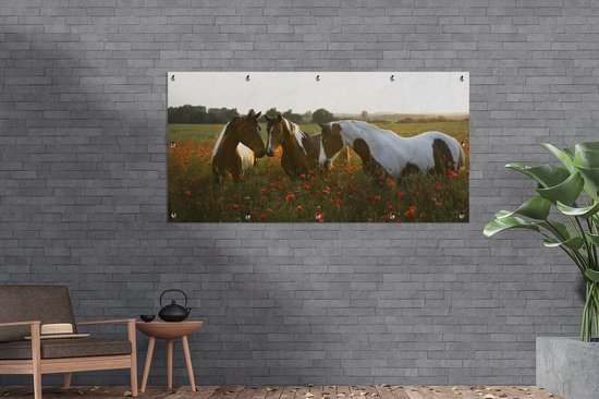 Affiche de clôture Paarden - Fleurs - Soleil - 200x100 cm - Toile de jardin