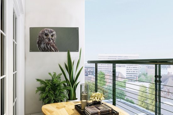 Affiche de jardin Gros plan de la chouette - 60x30 cm