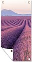 De lavendel-tuinposter los doek - 1:2 - 1-1