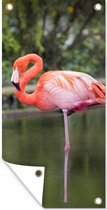 Wanddecoratie buiten Een flamingo staat op een poot in het water - 80x160 cm - Tuindoek - Buitenposter