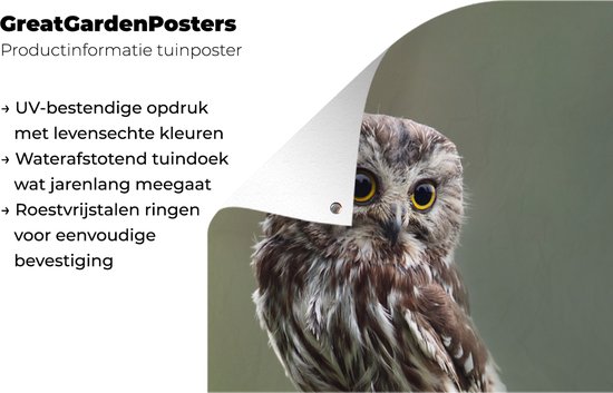 Décoration murale extérieur Gros plan de hibou - 80x160 cm
