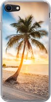 Coque pour iPhone SE 2020 - Coucher de soleil - Plage - Palmier - Coque de téléphone en Siliconen