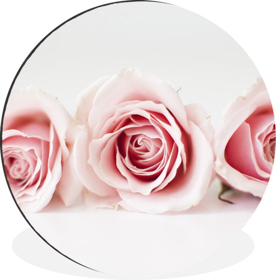 WallCircle - Wandcirkel - Muurcirkel - Studioshot van drie roze rozen naast elkaar - Aluminium - Dibond - ⌀ 140 cm - Binnen en Buiten