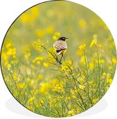 Cercle mural - Cercle mural - Vogel - Fleurs - Jaune - Aluminium - ⌀ 140 cm - Intérieur et Extérieur
