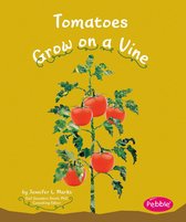 How Fruits and Vegetables Grow - Tomatoes Grow on a Vine