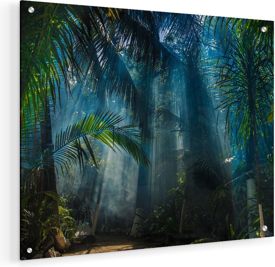 Artaza Glasschilderij - Dichtbegroeide Jungle Met Zonnestralen  - 50x40 - Plexiglas Schilderij - Foto op Glas