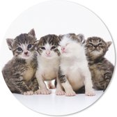 Muismat - Mousepad - Rond - Kat - Huisdieren - Vacht - Portret - 20x20 cm - Ronde muismat