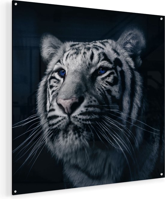 Artaza Glasschilderij - Tijgerkop Met Blauwe Ogen - Zwart Wit - 70x70 - Plexiglas Schilderij - Foto op Glas
