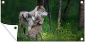 Tuinposter Wolf - Baby - Bos - 60x30 cm - Tuindoek - Buitenposter