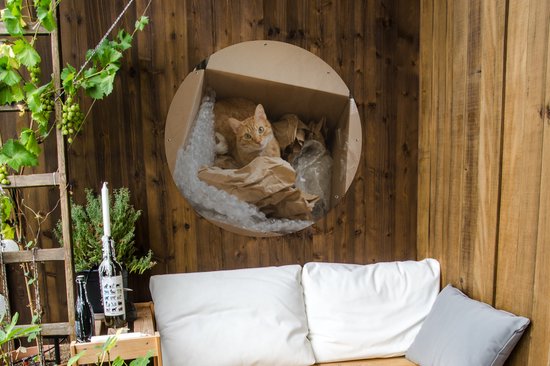 Garden Circle Cat - Boîte - Rouge - 90x90 cm - Affiche de Jardin Ronde - Extérieur