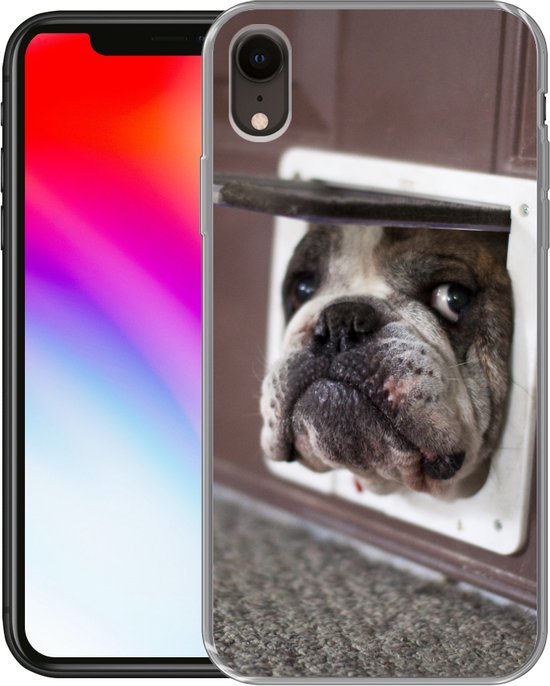 Coque iPhone XR - Chien - Drôle - Laisses pour chats - Siliconen - Sinterklaas - Noël - Cadeaux - Chaussures Cadeaux