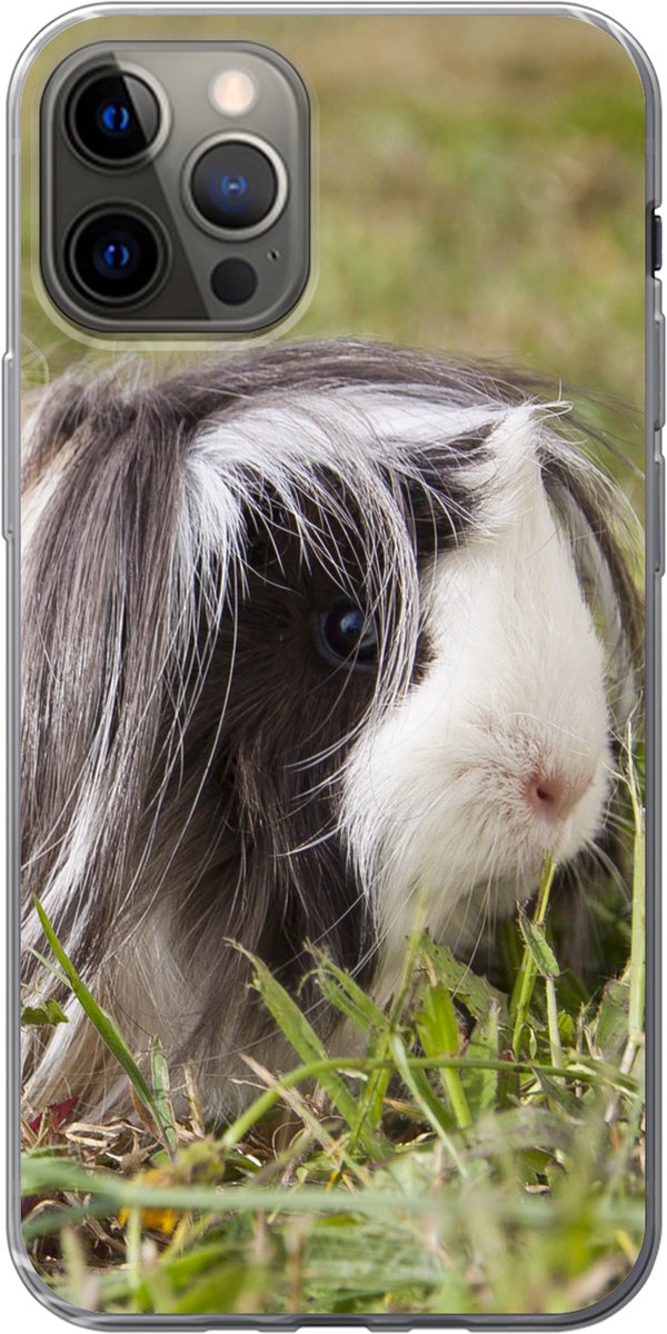 Telefoonhoesje Geschikt voor iPhone 13 Pro hoesje - Langharige cavia - Siliconen Telefoonhoesje Telefoonhoesje