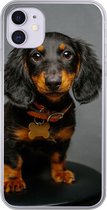 Geschikt voor iPhone 11 hoesje - Studio foto van teckel puppy - Siliconen Telefoonhoesje
