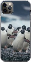 Geschikt voor iPhone 12 Pro Max hoesje - Adelie pinguïns op het strand - Siliconen Telefoonhoesje