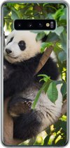 Geschikt voor Samsung Galaxy S10 hoesje - Panda - Dier - Boom - Siliconen Telefoonhoesje
