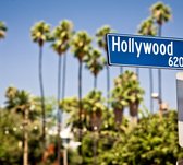 Palmbomen op Hollywood Boulevard in Los Angeles - Fotobehang (in banen) - 250 x 260 cm