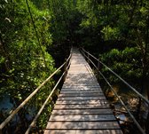 Brug door de Jungle - Fotobehang (in banen) - 450 x 260 cm