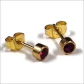 Aramat jewels ® - Goudkleurige zweerknopjes geboortesteen oorbellen rood chirurgisch staal 4mm