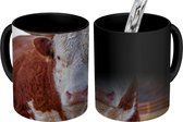 Magische Mok - Foto op Warmte Mok - Een bruine met witte stier - 350 ML