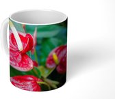 Mok - Anthurium met rode bloemen - 350 ML - Beker