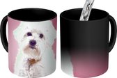 Magische Mok - Foto op Warmte Mokken - Koffiemok - Maltezer hond met een roze achtergrond - Magic Mok - Beker - 350 ML - Theemok