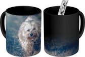 Magische Mok - Foto op Warmte Mokken - Koffiemok - Zonnestralen langs de Maltezer hond - Magic Mok - Beker - 350 ML - Theemok