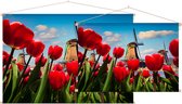 Nederlandse tulpen voor de molens van Amsterdam - Foto op Textielposter - 60 x 40 cm