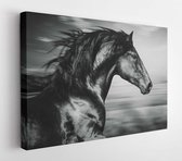 Canvas schilderij - Spanish running horse portrait, black and white photo  -    760999816 - 40*30 Horizontal