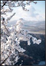 Poster van een boom bedekt met sneeuw - 13x18 cm