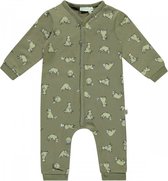 Babylook Boxpak Raccoon Dusty Olive
