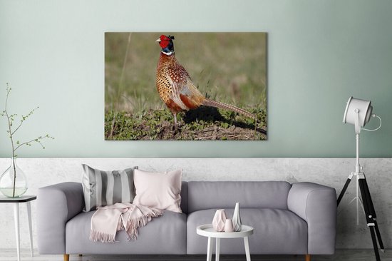 Canvas Schilderij Fazant - Eten - Vogel - 120x80 cm - Wanddecoratie