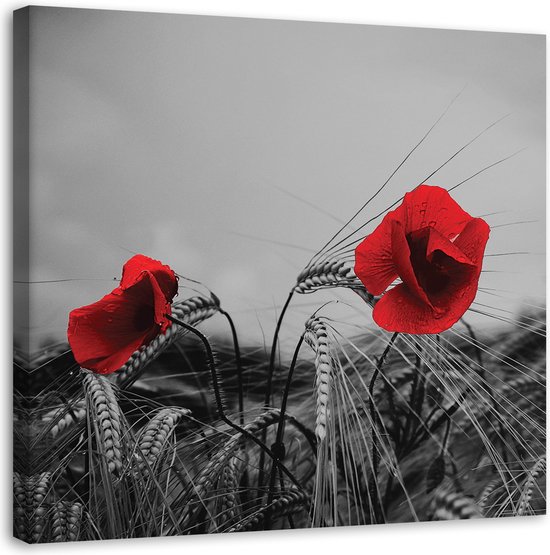 Trend24 - Canvas Schilderij - Rode Papavers En Maïs - Schilderijen - Bloemen - 30x30x2 cm - Rood
