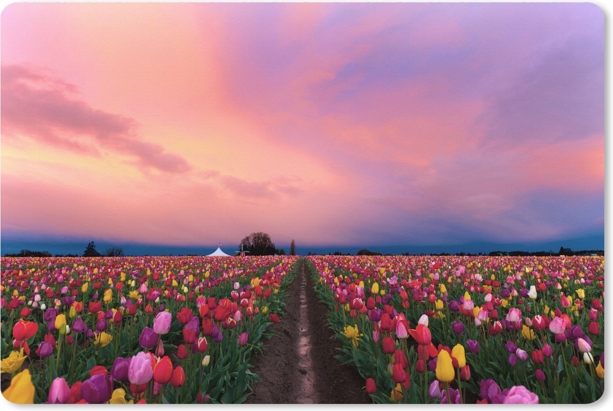 Muismat XXL 90x60 cm - Bureau onderlegger - Bureau mat Tulpenveld zonsondergang - Bureaumat - Gaming mousepad xl - Bureaulegger groot - Computer deskmat