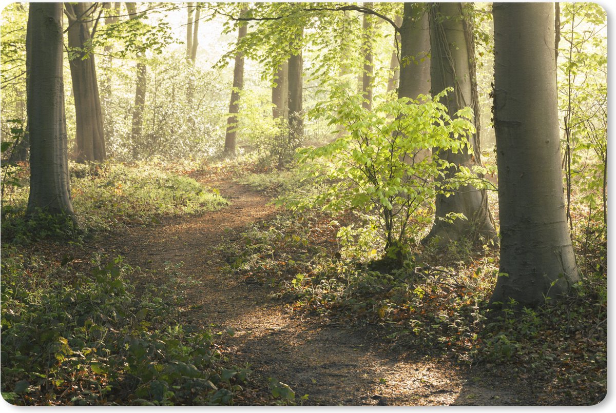 Muismat XXL 120x80 cm - Bureau onderlegger - Bureau mat Bos - Bomen - Pad - Zon - Planten - Bladeren - Natuur - Bureaumat - Gaming mousepad xl - Bureaulegger groot - Computer deskmat