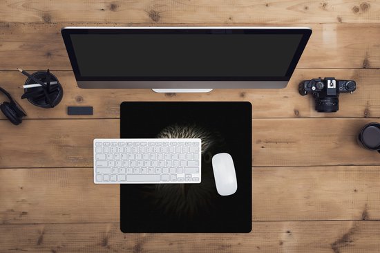 Tapis de souris XXL - Sous-main - Tapis de bureau - Vogel - Aigle - Rapaces - Oeil - Bec - Lumière - 40x40 cm - Tapis de souris XXL