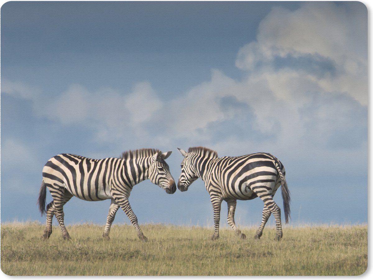 Muismat XXL 80x60 cm - Bureau onderlegger - Bureau mat Verliefde zebra's - Bureaumat - Gaming mousepad xl - Bureaulegger groot - Computer deskmat